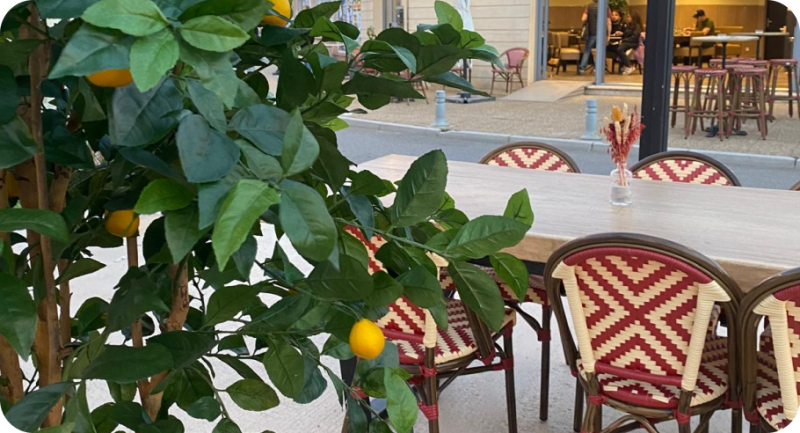 Le restaurant - Gioia - L'Île Rousse - Restaurant l'Île Rousse